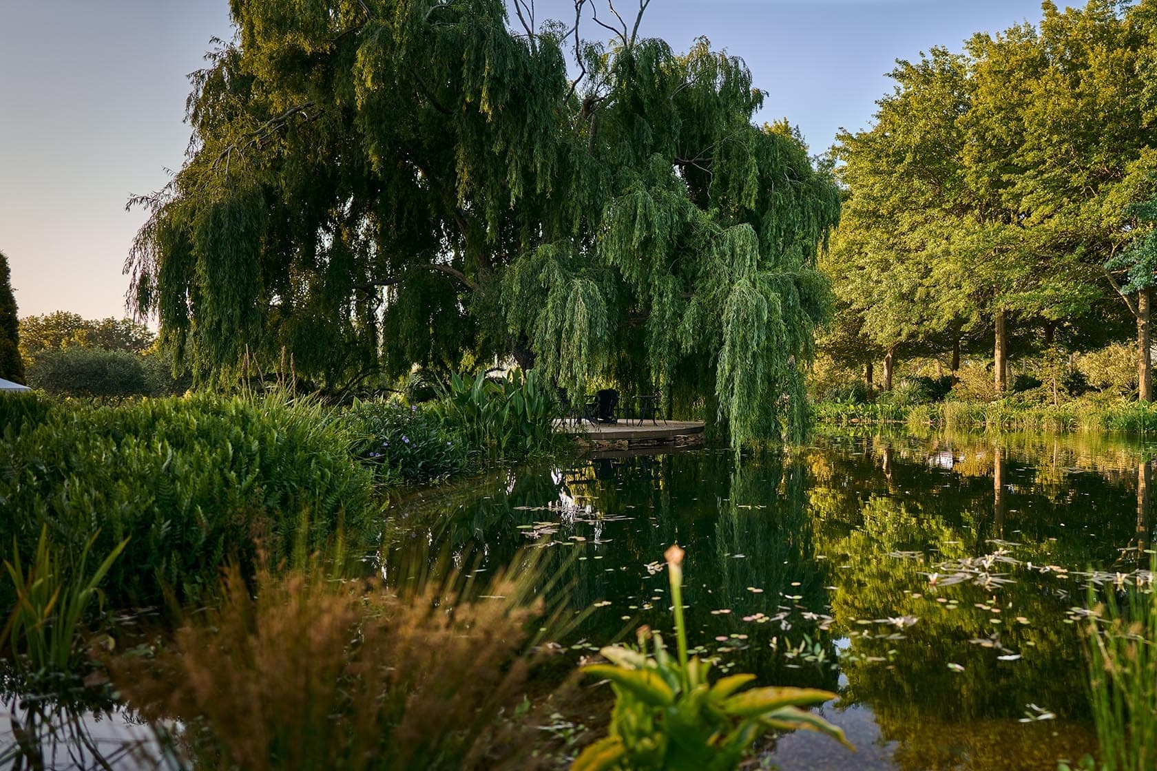 Garden pond weeping willow paddakloof franschhoek south africa padel