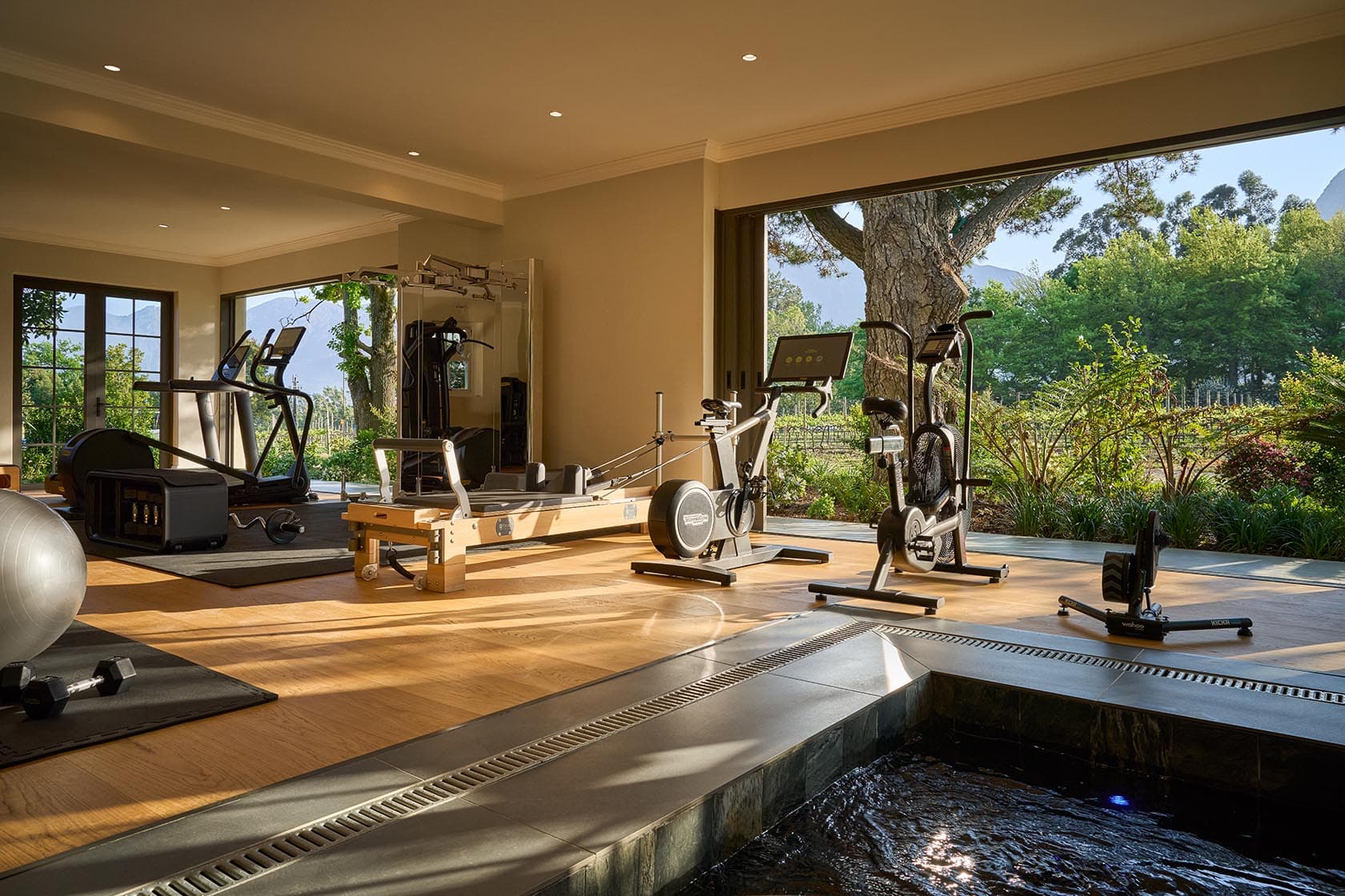 Home gym mountain view paddakloof franschhoek south africa padel