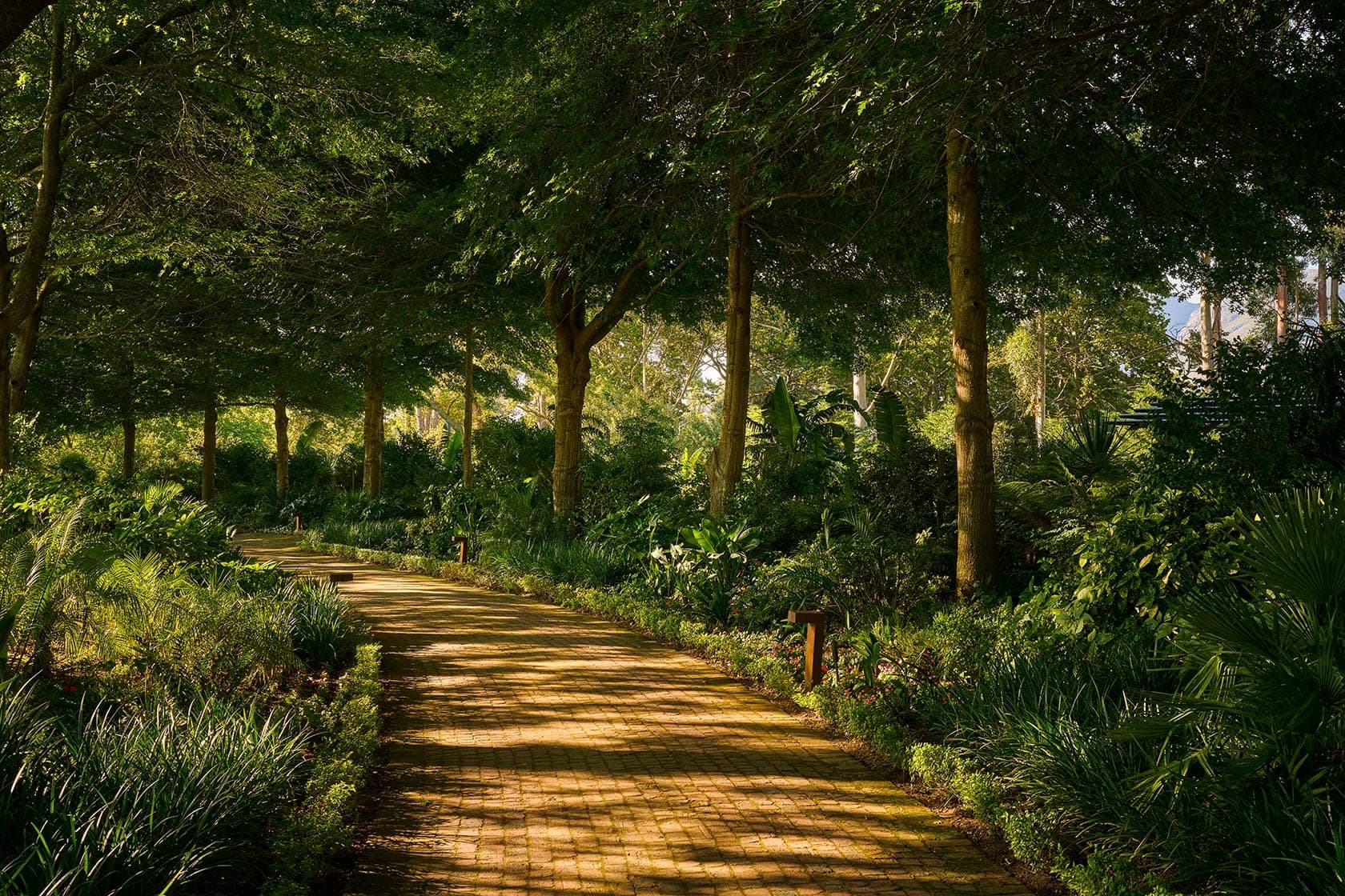 Tree lined garden pathway paddakloof franschhoek south africa padel