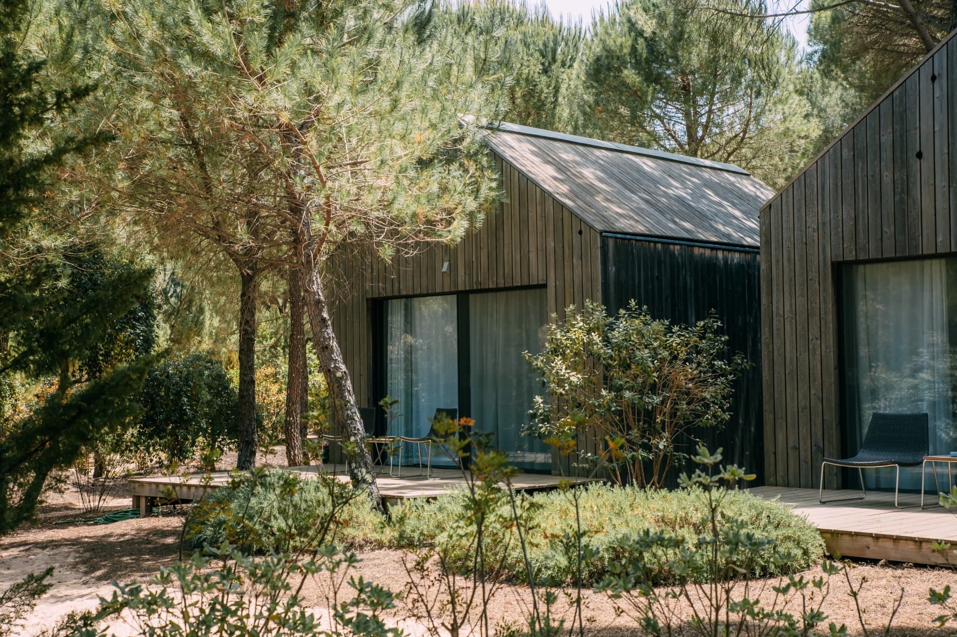 A black timber cabin set among the pines