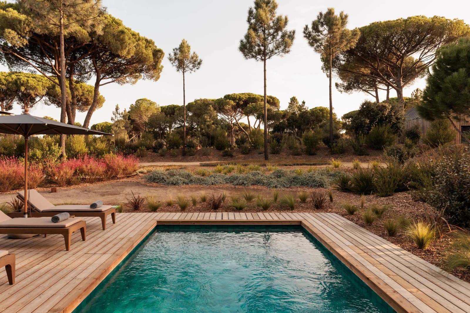 A pool deck under pines, wild planting to the water