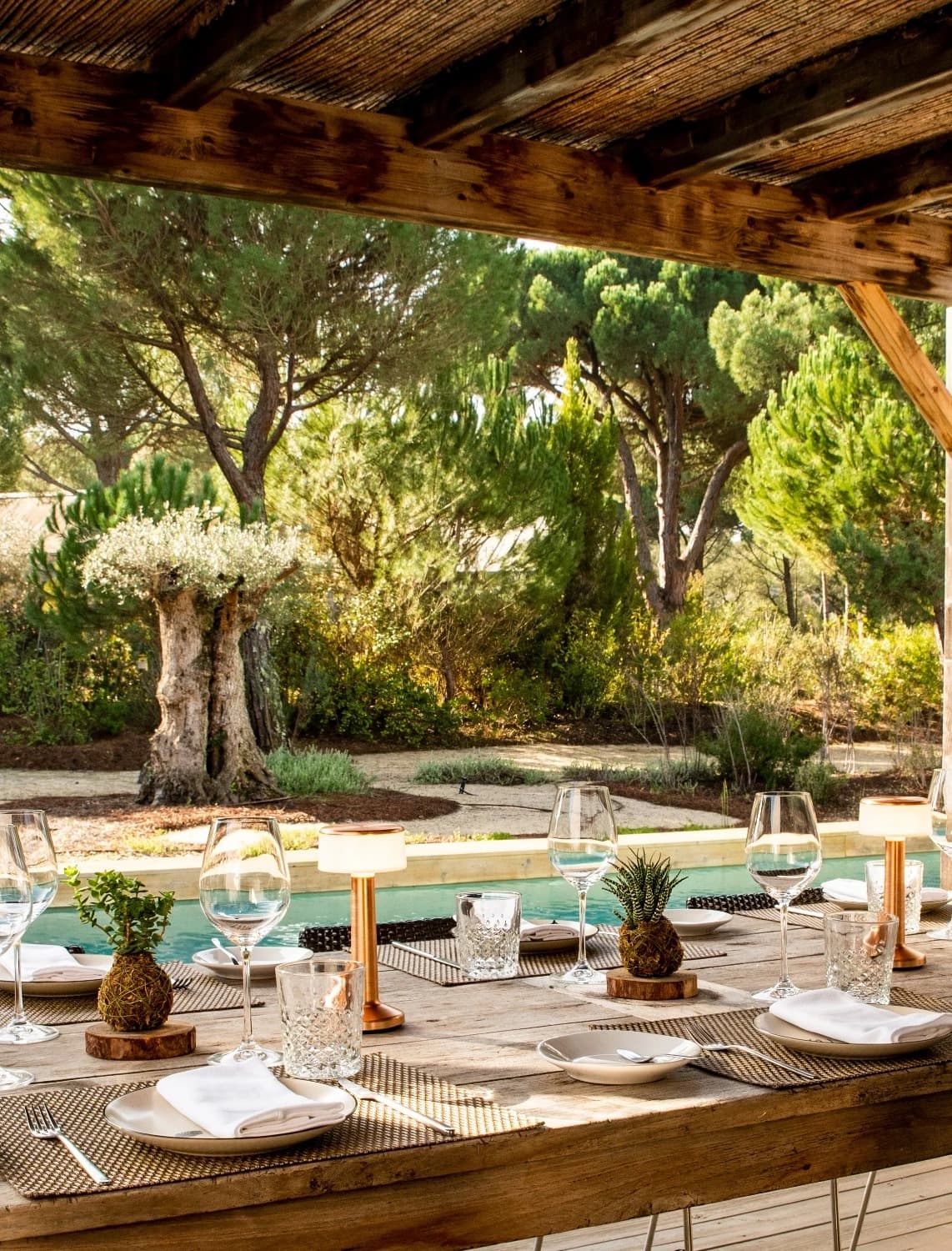 A poolside table set beneath an olive tree