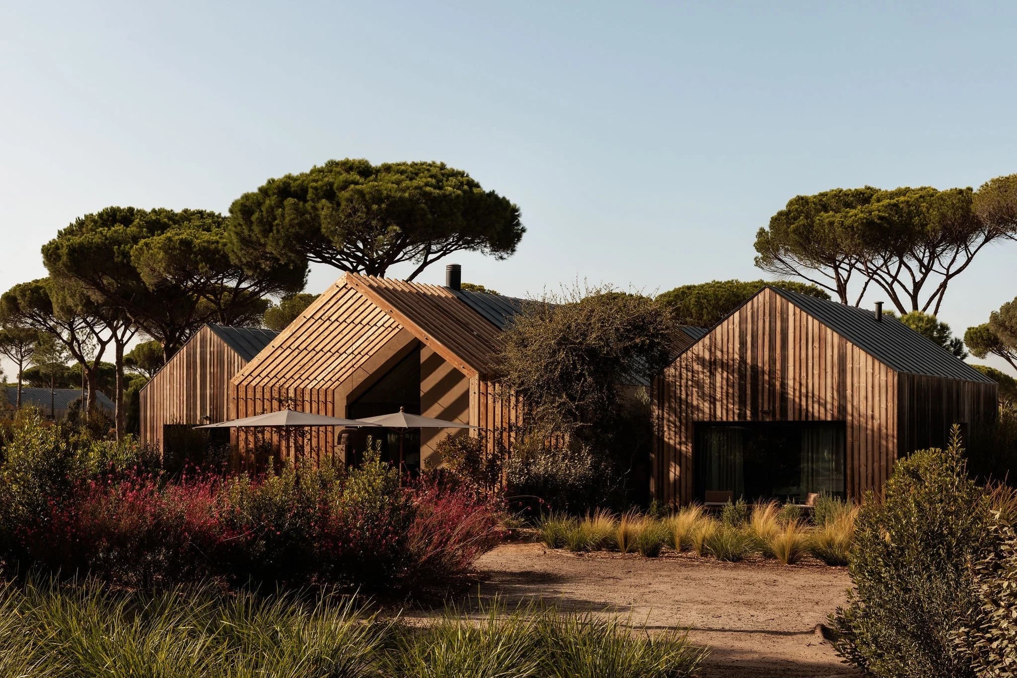 Timber cabins in a wildflower garden under the pines
