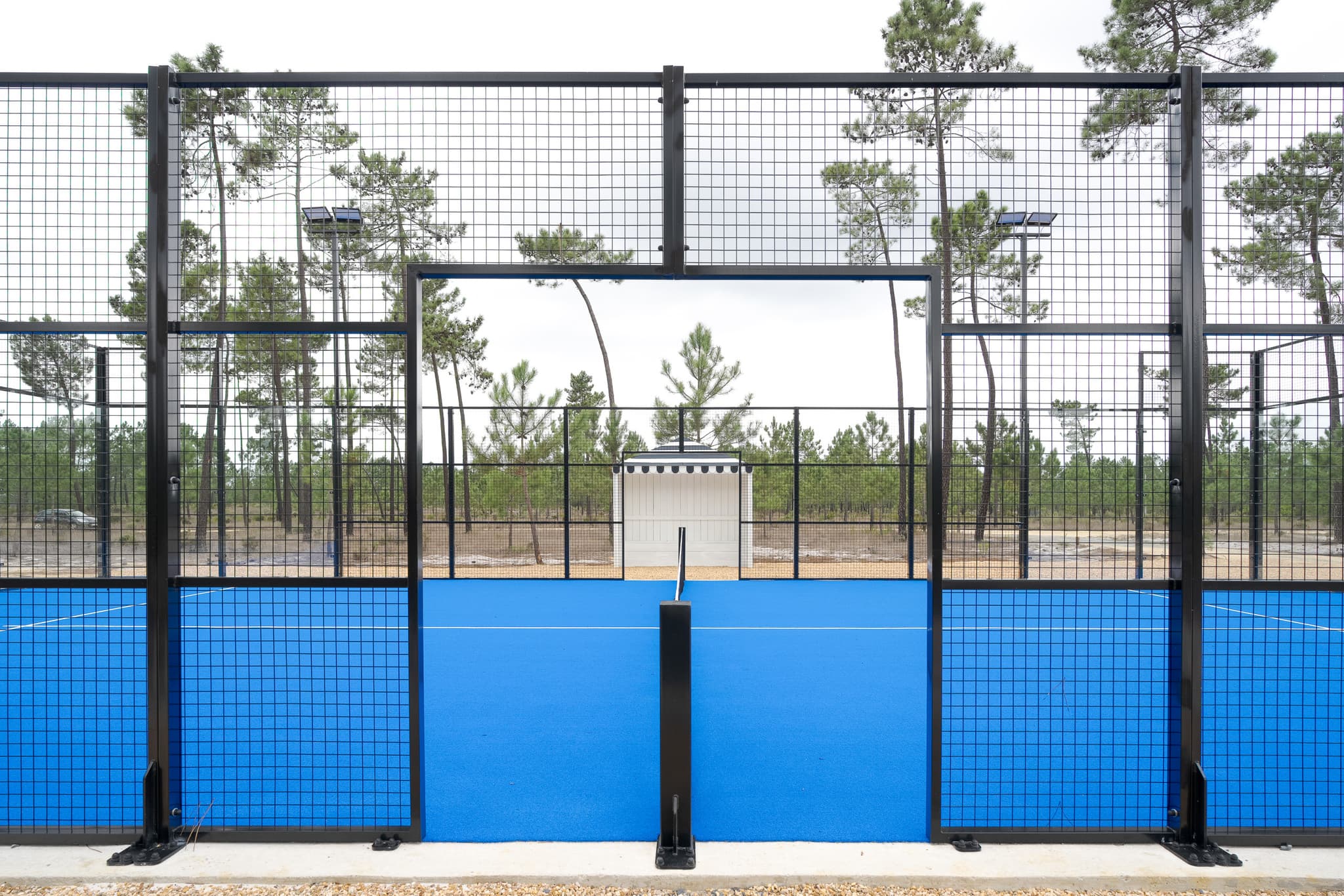 A padel court set in the pines, with planting to the fence line