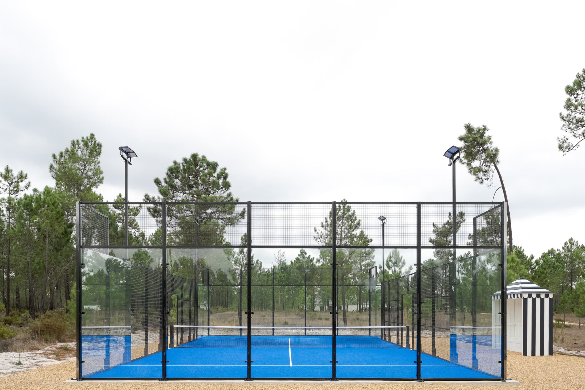 A padel court under floodlights, pine forest around it