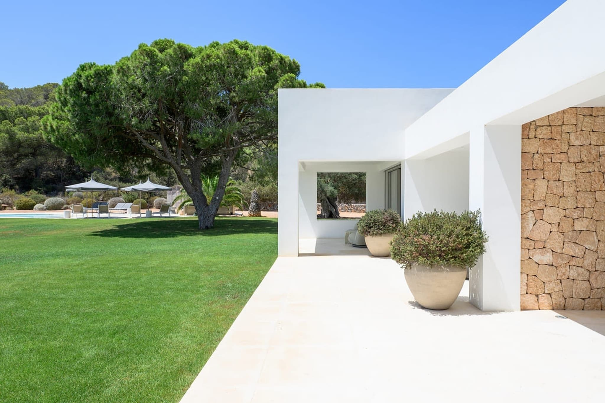 The covered terrace, the lawn and a pine beyond