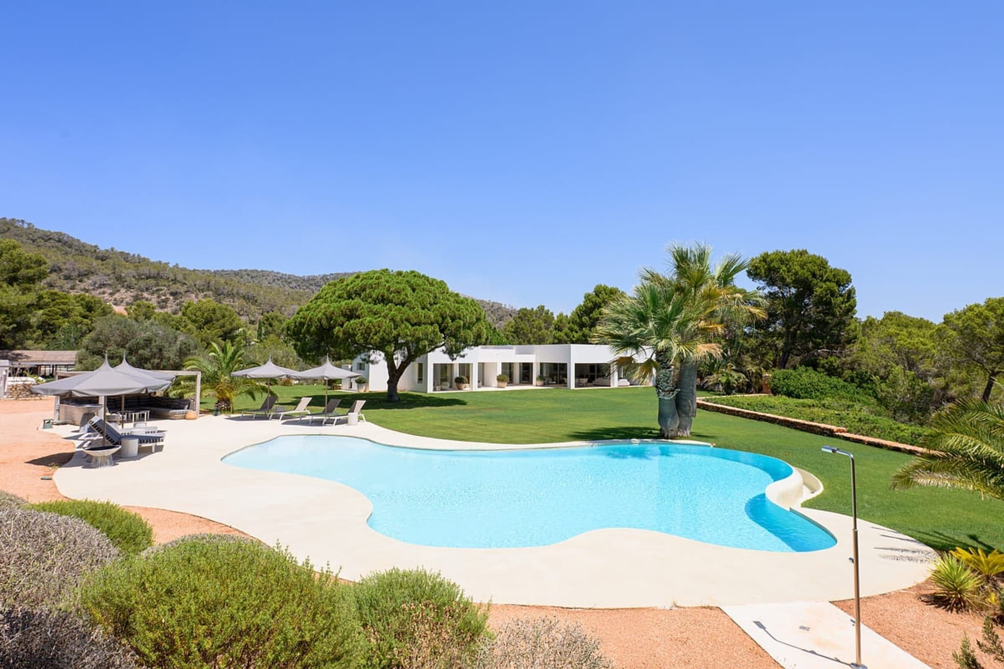 The curved pool, the hillside beyond the garden