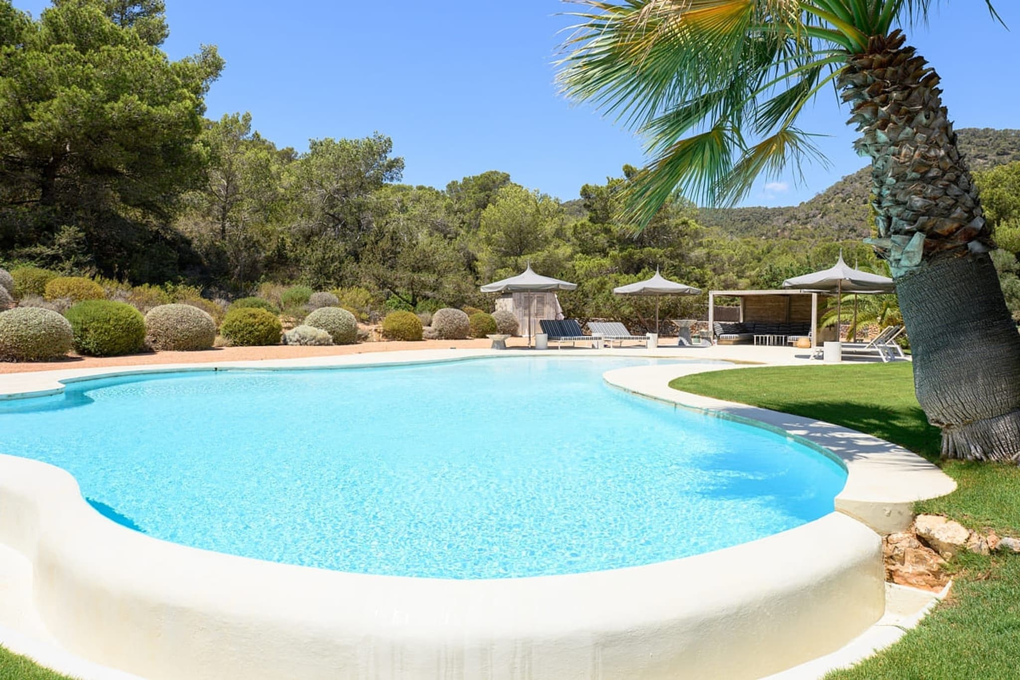 The curved pool, a palm over it, the countryside beyond