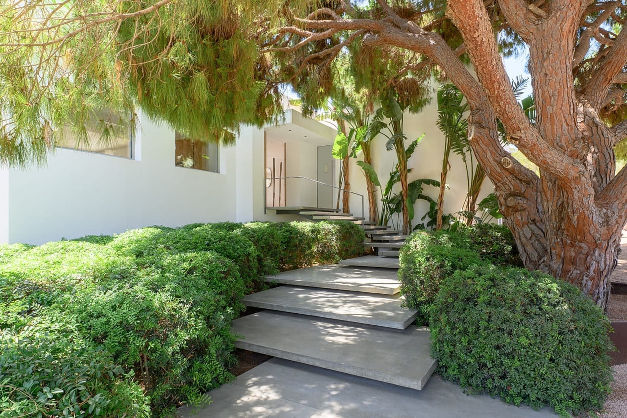 The garden path and its steps to the entrance