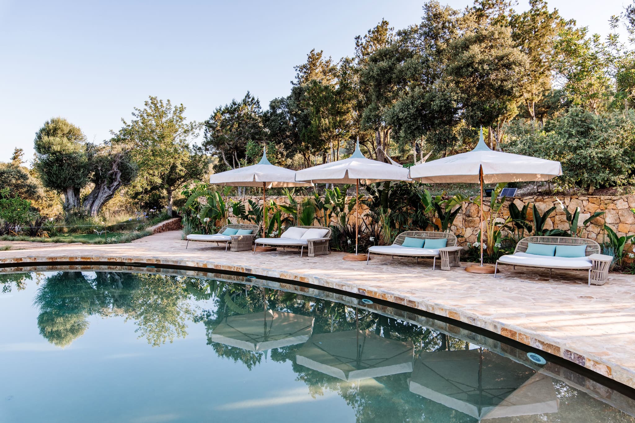 Pool loungers under white parasols
