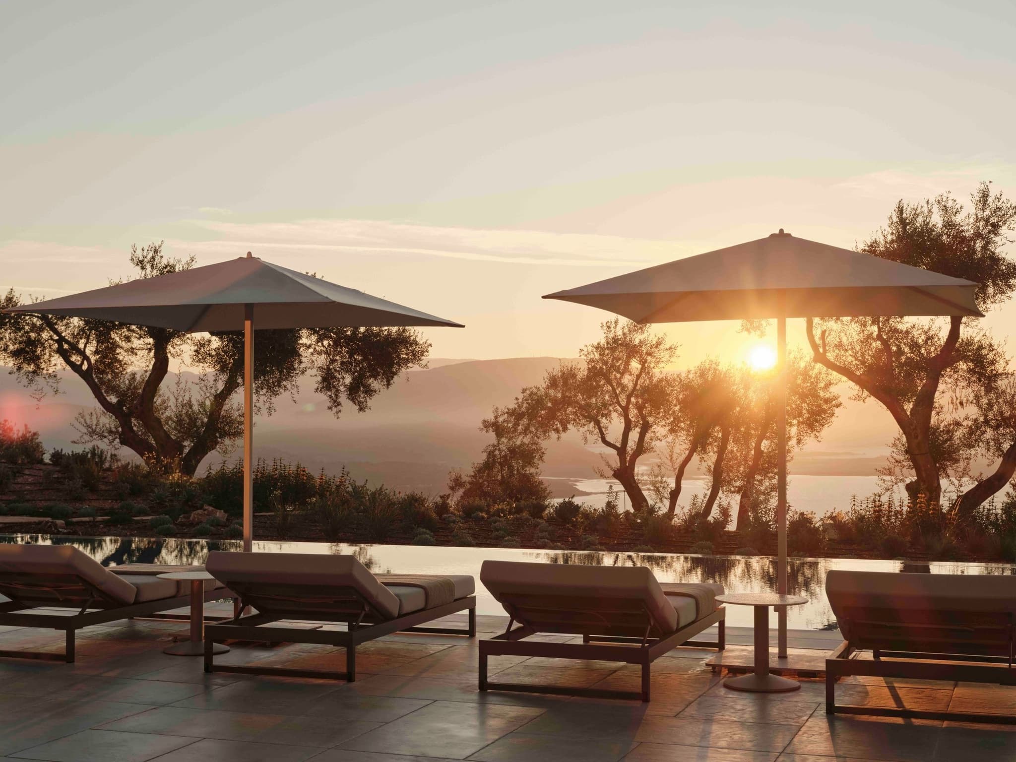 Loungers and parasols among olive trees at sunset