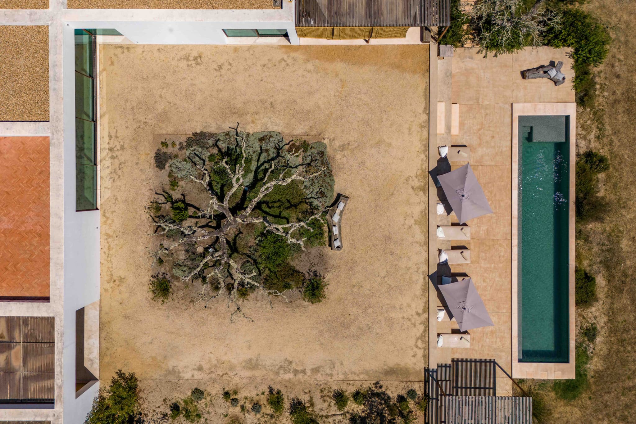 Aerial view ancient oak tree pool courtyard villa quail comporta portugal padel